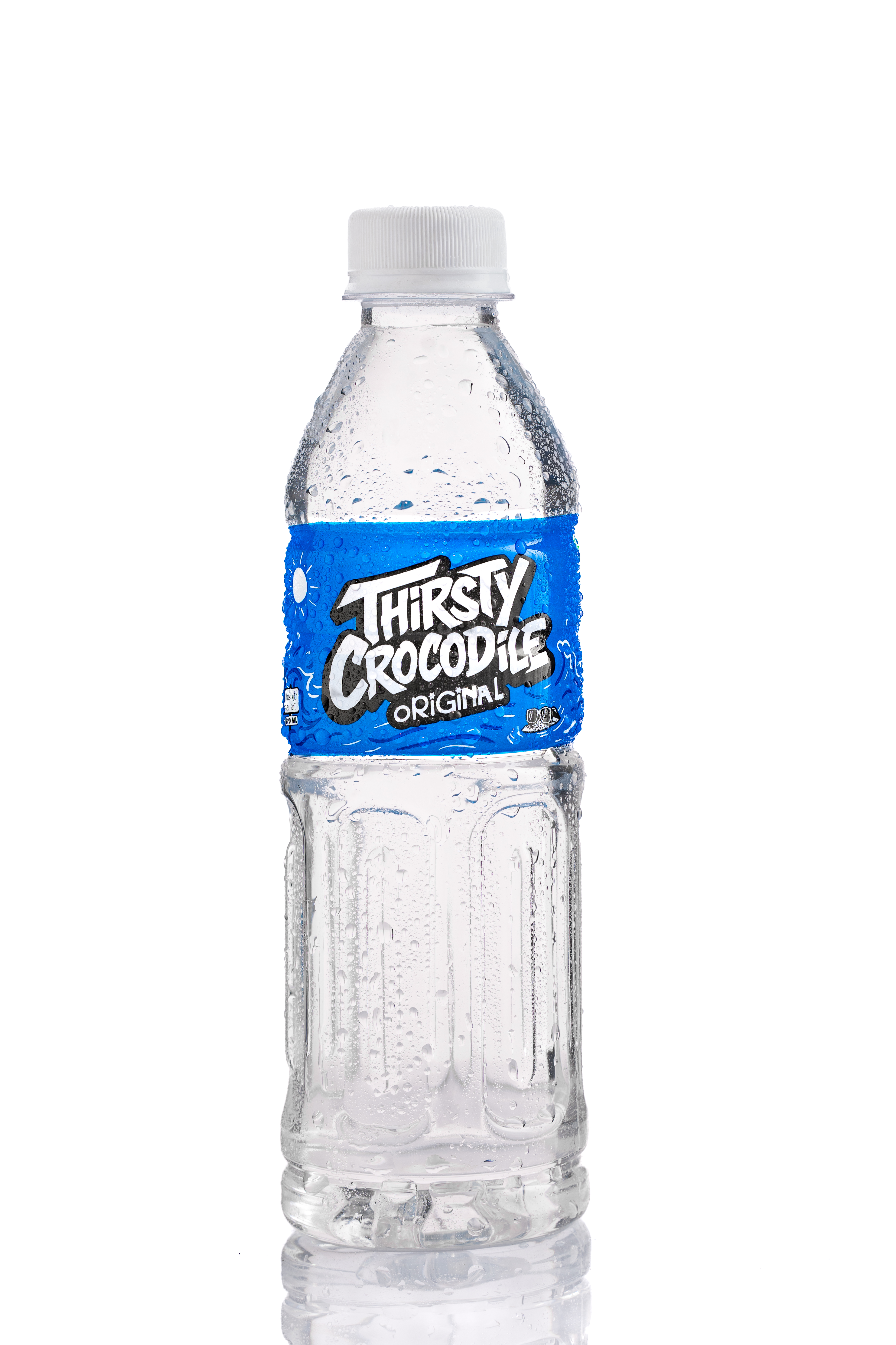 Thirsty Crocodile